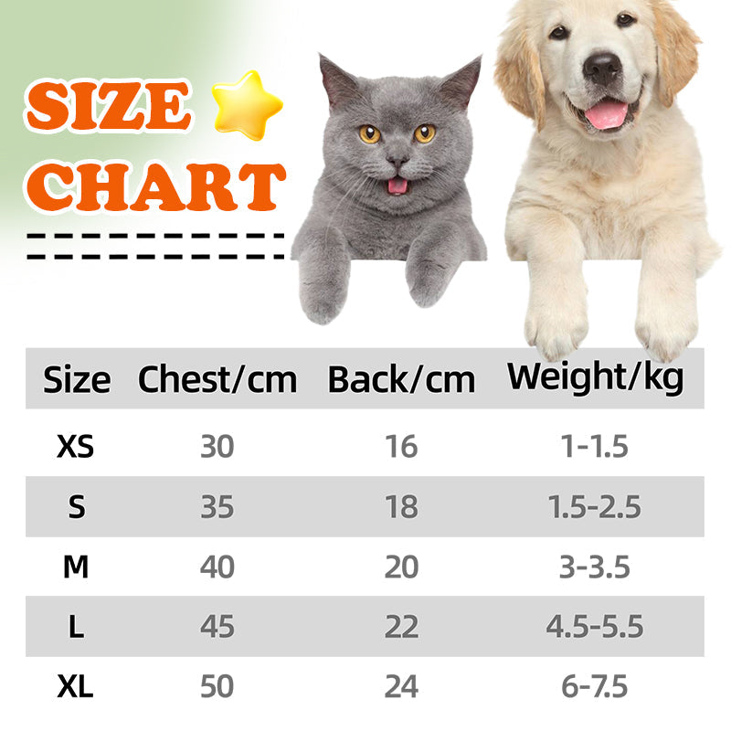 Summer Pet Chest Harness with Matching Adorable Hat