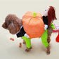 Hot 50% off Pet Dog Pumpkin Halloween Costume-Free Shipping