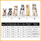 Hot Sale 49% OFF-Super absorbent pet bathrobe