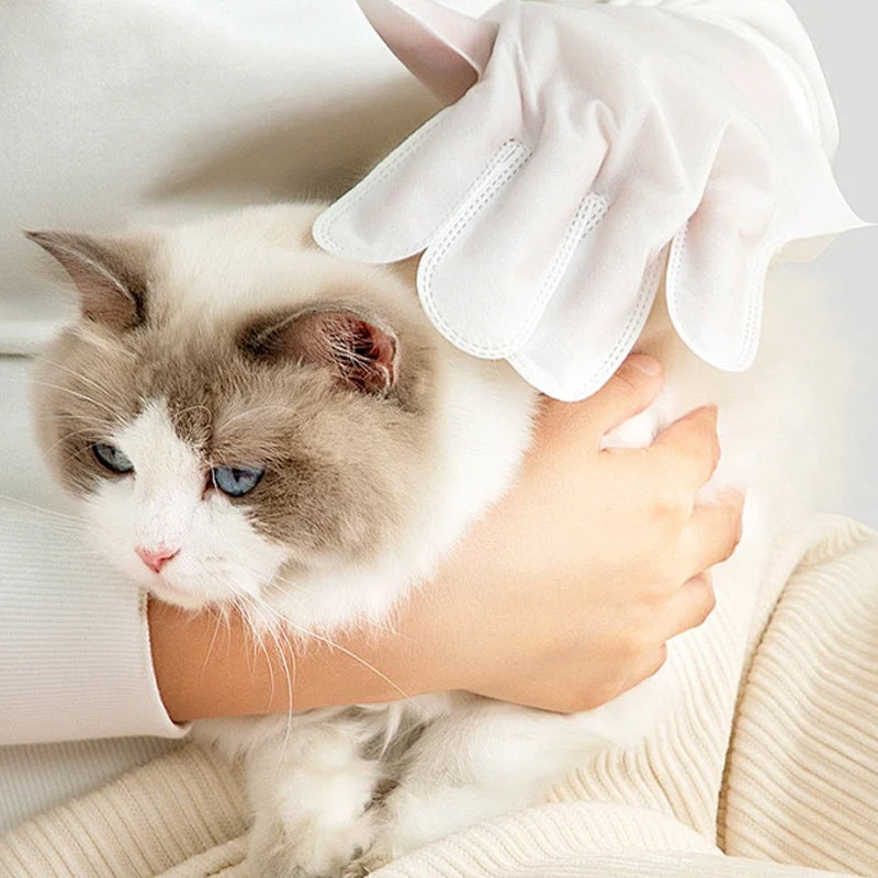 Gentle Pet Cleaning No-Rinse Gloves