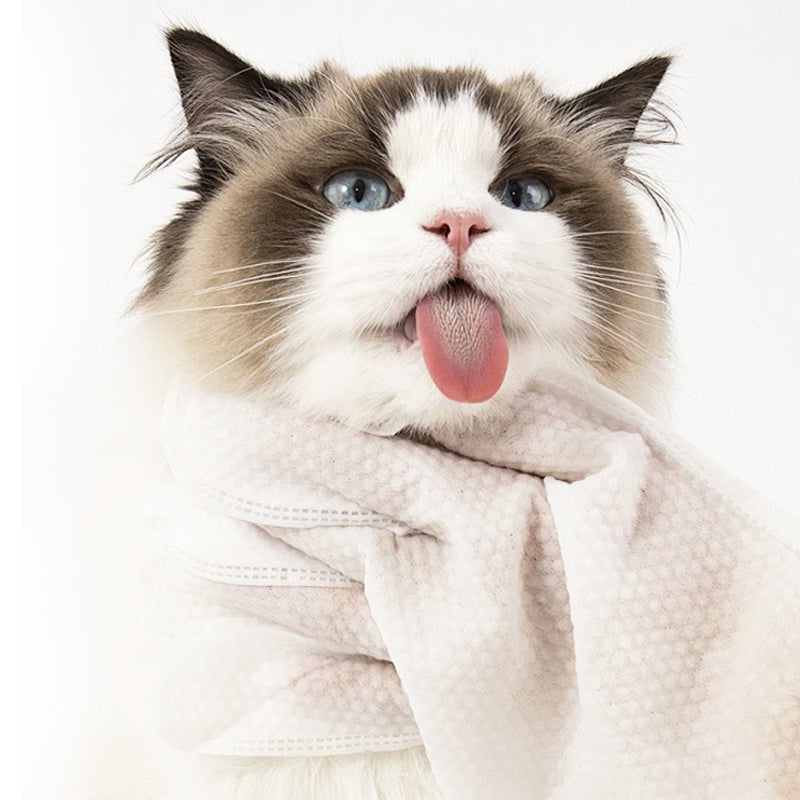 Gentle Pet Cleaning No-Rinse Gloves