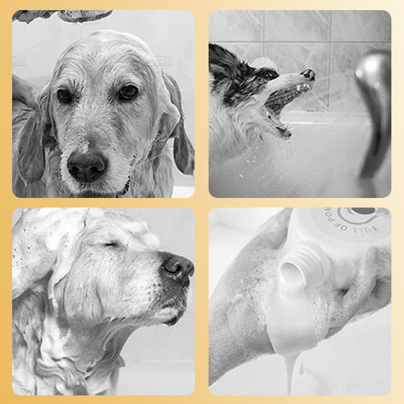 🔥New Hot Selling❤️‍🔥 Efficient Portable Fun Foam Dispenser