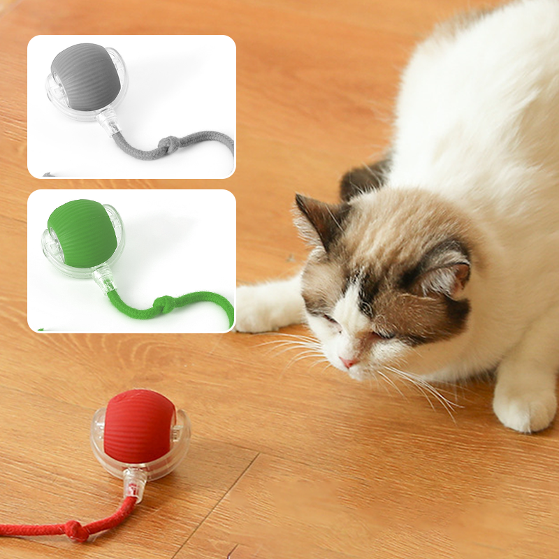 🔥Intelligent Chirping Rolling Interactive Cat Toy Ball🐾