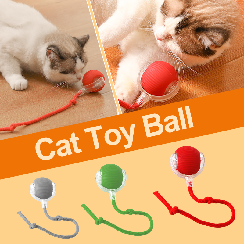 🔥Intelligent Chirping Rolling Interactive Cat Toy Ball🐾