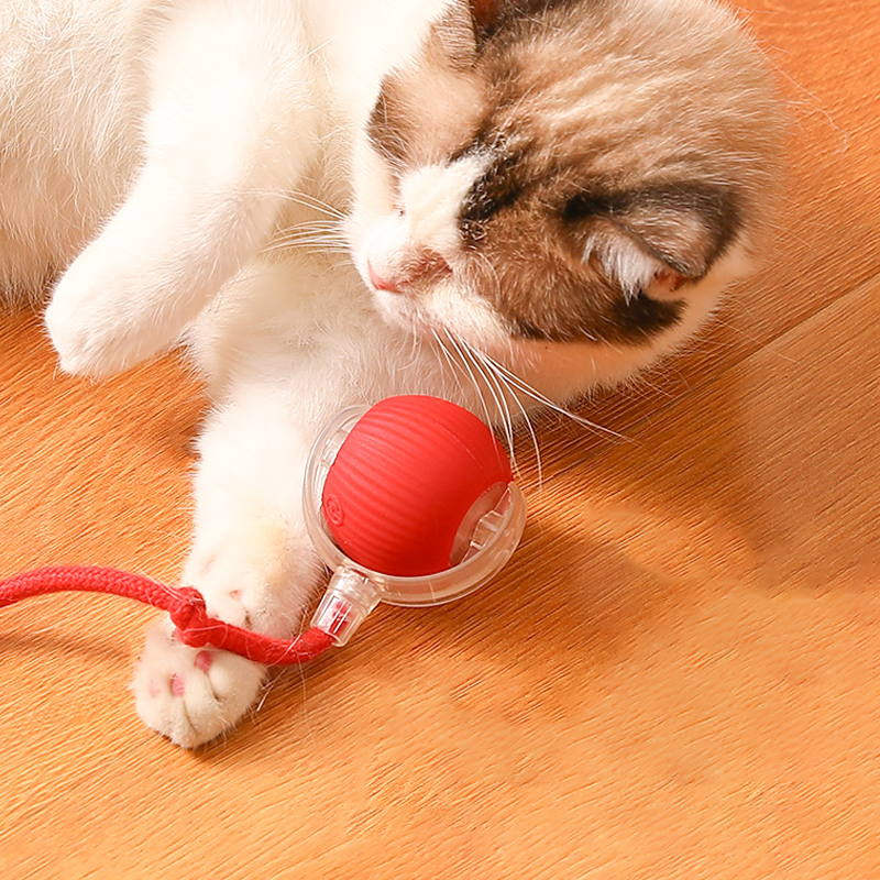 🔥Intelligent Chirping Rolling Interactive Cat Toy Ball🐾