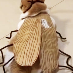 🎉2025 New Products Hot Sale✨Cat Cockroach Costume Kit