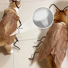 🎉2025 New Products Hot Sale✨Cat Cockroach Costume Kit