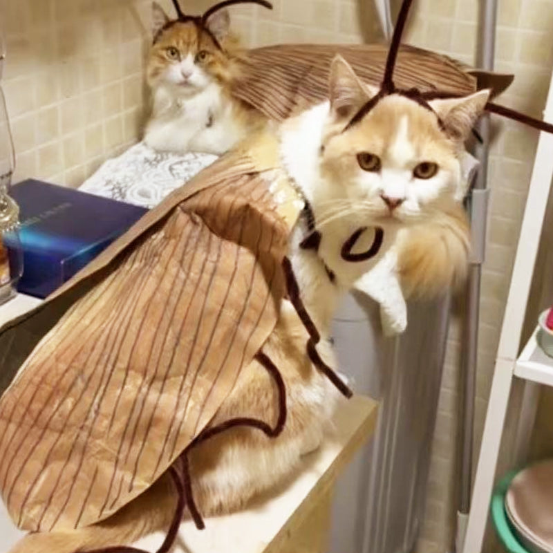 🎉2025 New Products Hot Sale✨Cat Cockroach Costume Kit