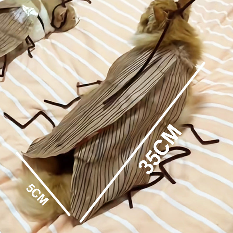 🎉2025 New Products Hot Sale✨Cat Cockroach Costume Kit