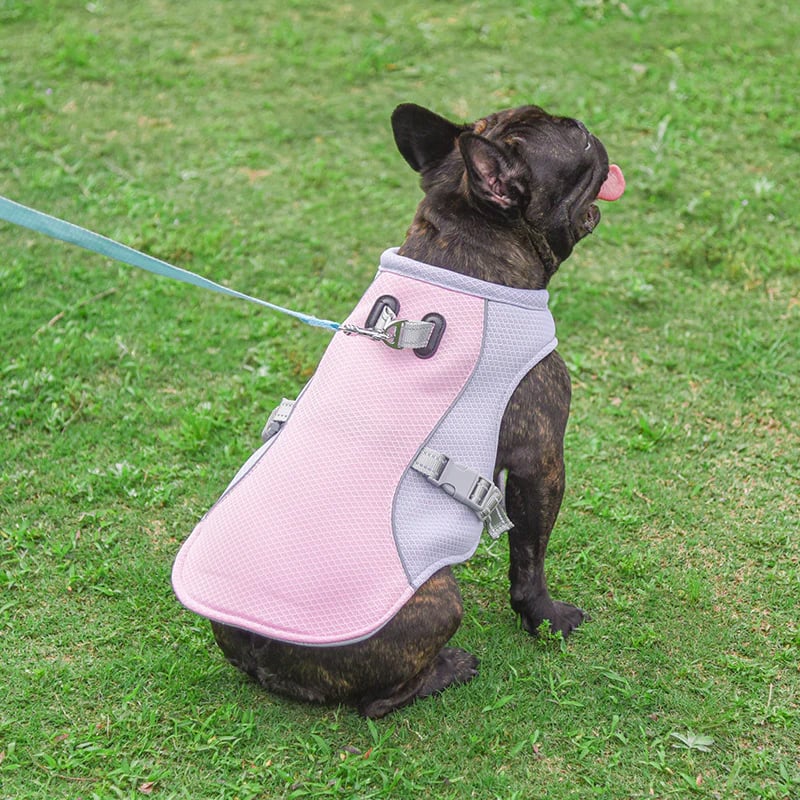 🐶Last Day Sale 49% OFF❄️🐾 Dog Summer Ice Cooling Protective Vest