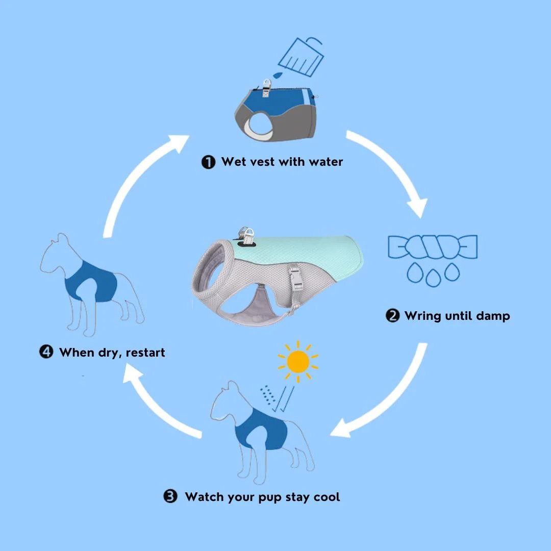 🐶Last Day Sale 49% OFF❄️🐾 Dog Summer Ice Cooling Protective Vest