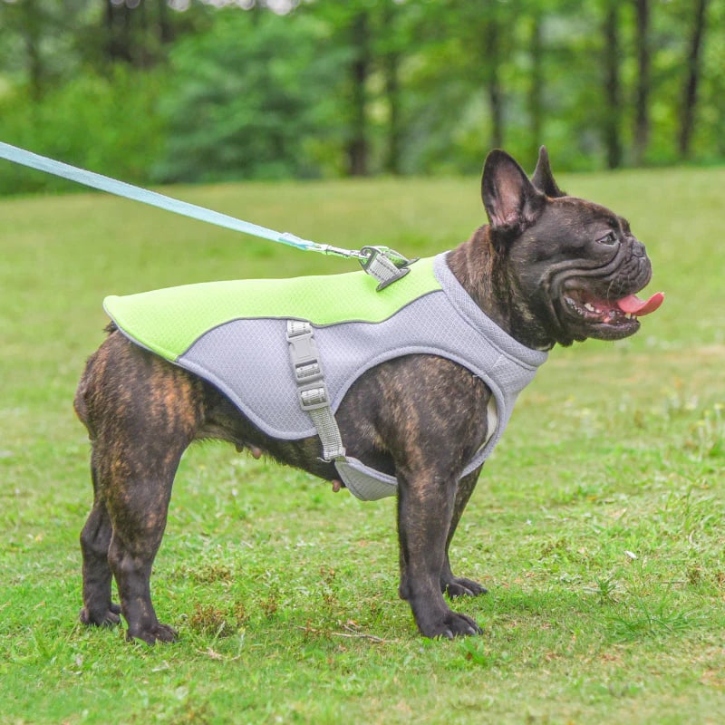🐶Last Day Sale 49% OFF❄️🐾 Dog Summer Ice Cooling Protective Vest