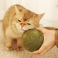 Enorme ballen kattenkruid