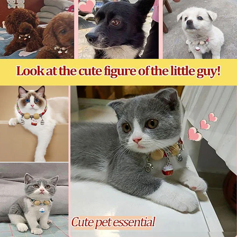 Camphor Wood Anti-Parasite Pet Collar