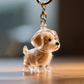 🏆LAST DAY BUY 1 GET 1 FREE🐶My Pet Keychain