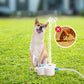 Dog Paw-Activated Water Fountain