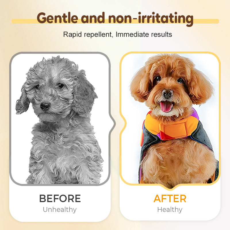 🥇BUY 1 GET 1 FREE🔥Flea & Tick Repellent Spray for Cats and Dogs