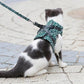 Pet Leash Anti-break Away Chest Strap Vest Harness