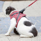 Pet Leash Anti-break Away Chest Strap Vest Harness