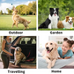 🔥Rinse-Free Dog Shampoo Mitts – Hypoallergenic Pet Bath Wipes, 6 Packs