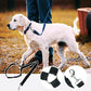 Adjustable Dog Seat Belt