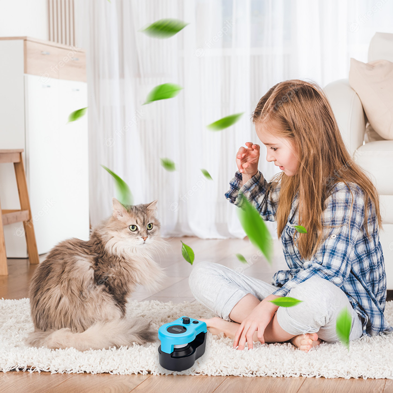 Interactive Cat Toys for Indoor Cats