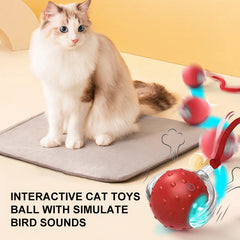 Interactive Cat Toys Ball with Simulate Bird Sounds
