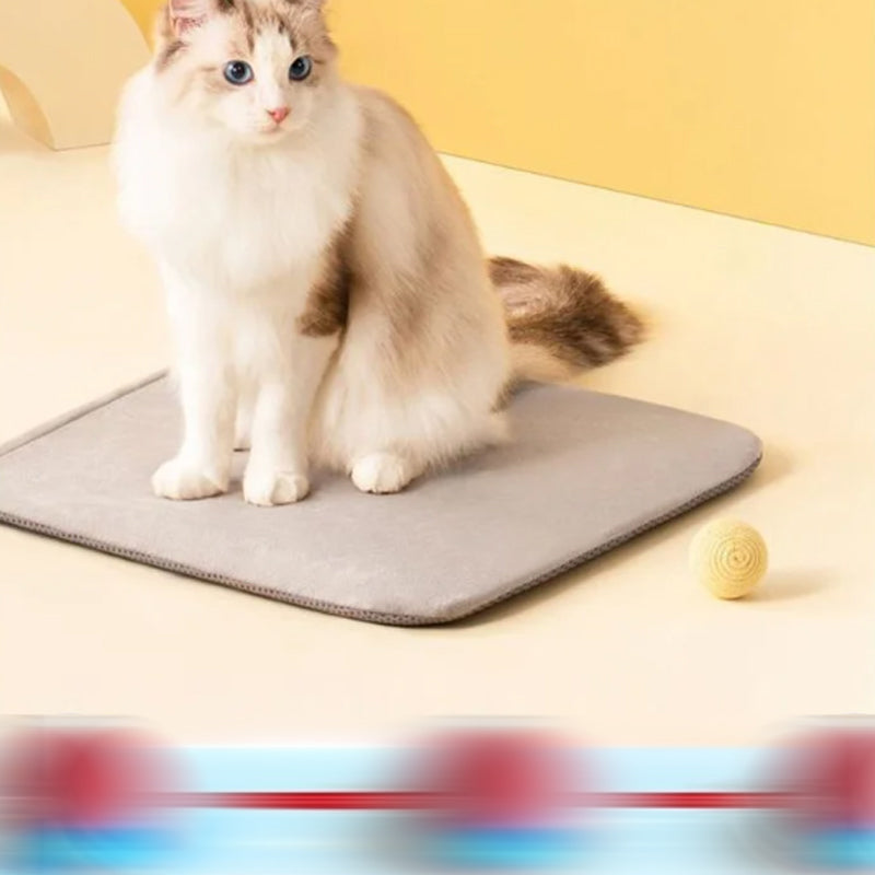 Interactive Cat Toys Ball with Simulate Bird Sounds