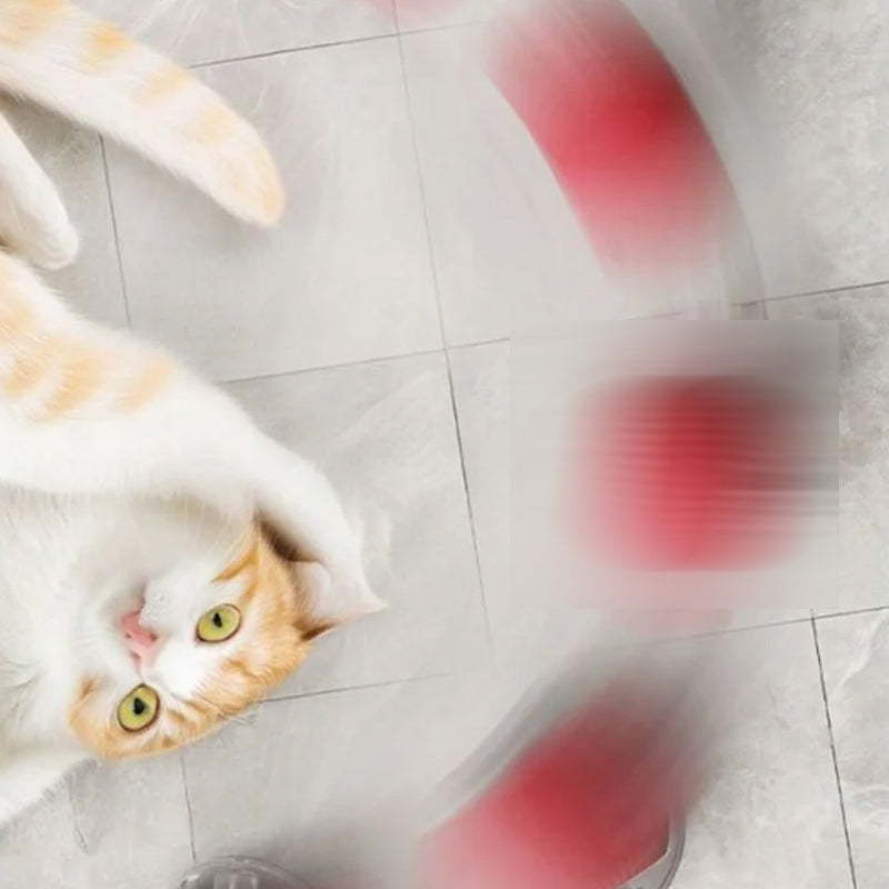 Interactive Cat Toys Ball with Simulate Bird Sounds