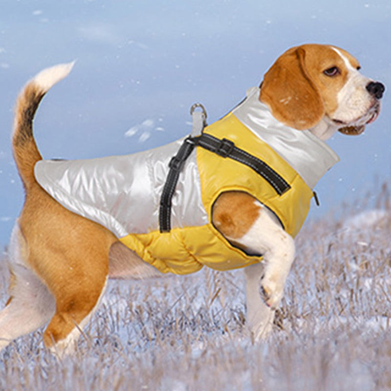 Warm Waterproof Winter Dog Coat