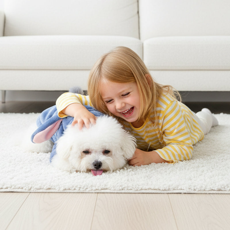 Cute Cartoon Pet Hoodie