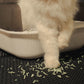 Celery Pets Cat Litter Mat