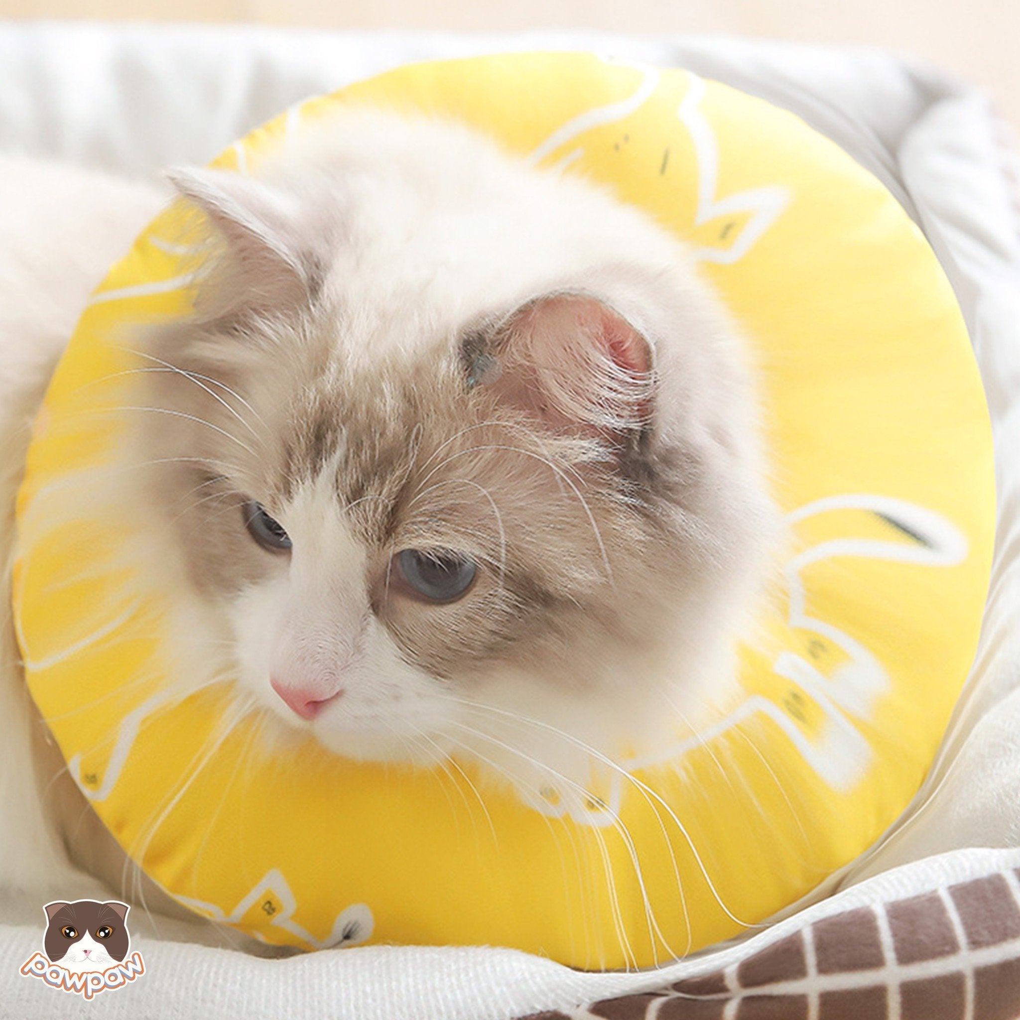Anti-Lick Recovery Collar for Cats and Dogs
