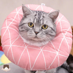 Anti-Lick Recovery Collar for Cats and Dogs